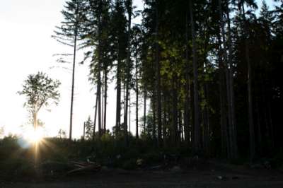 img9124.jpg picture by AnaisSatin